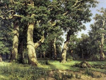 伊萬 希什金 Oak of the Forest 伊萬 希什金 Oak of the Forest